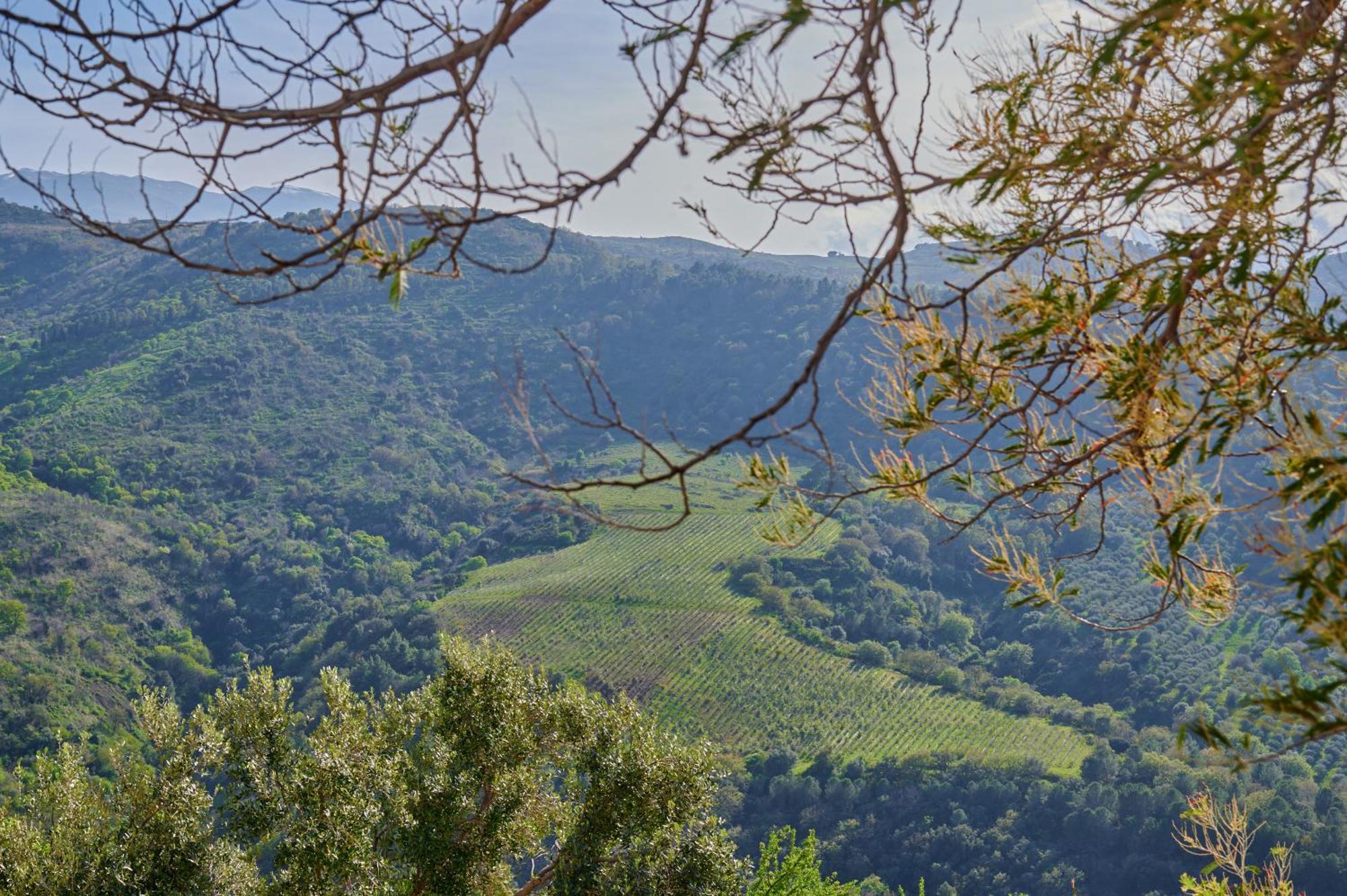 Tenuta Luogo Marchese Agroturismo Pollina
